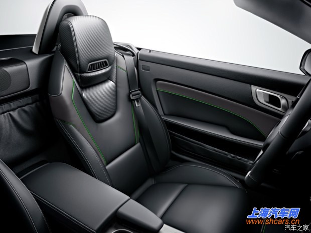奔驰(进口) 奔驰SLK级 2015款 SLK 200 碳纤维限量版
